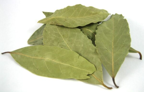 Bay leaves
