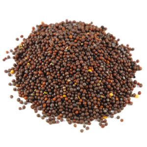 Mustard Seed Brown/Black