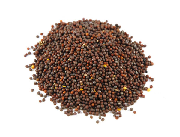 Mustard Seed Brown/Black