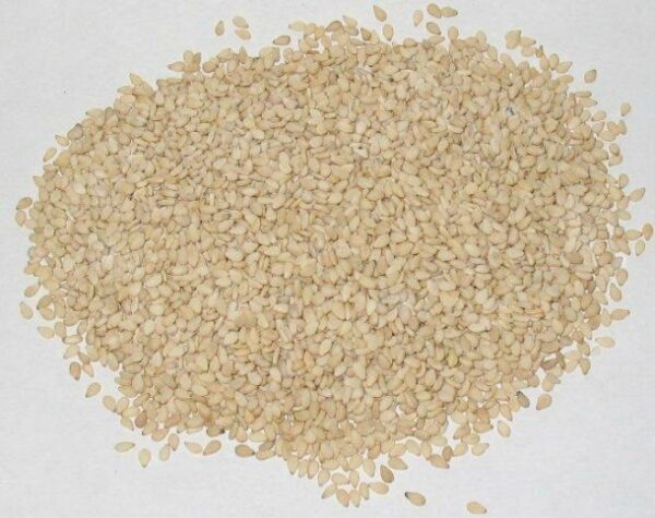 Sesame Seed White