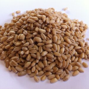 Wheat Hulled