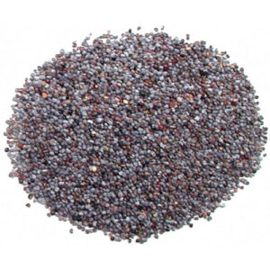 Poppy Seeds Blue/Black